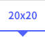 20x20